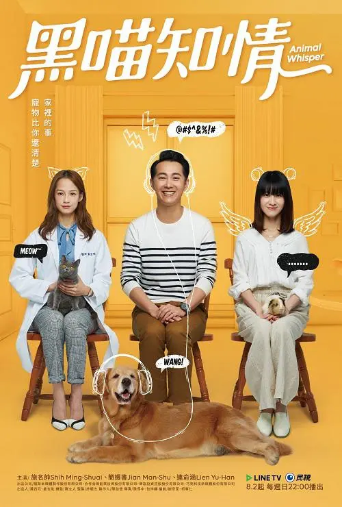 《黑喵知情》：猫咪视角下的都市悬疑，人性与真相的探索