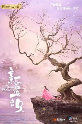 《亲爱的吾兄》影评：超越血缘，守护与牺牲的动人篇章