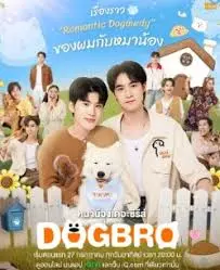 《恋爱汪汪汪》：萌犬牵红线，爆笑又暖心的都市爱情喜剧，单身狗必备脱单指南！