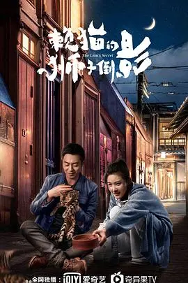 《赖猫的狮子倒影》：霸道总裁与落难千金的甜蜜爱情！